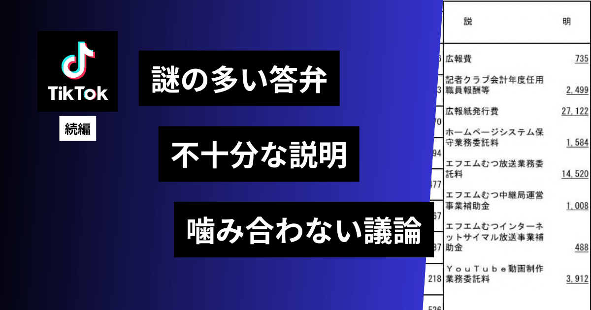 TikTok続編